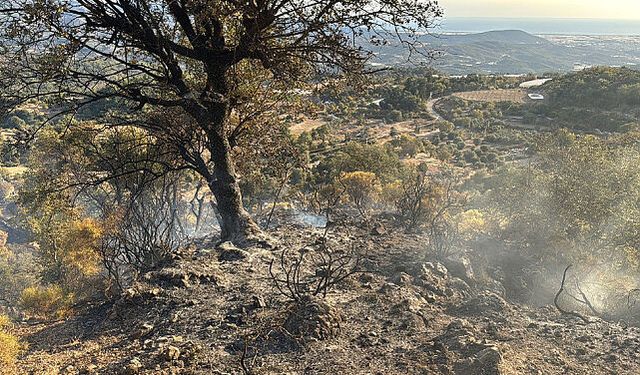 Kumluca'da ormanlık alanlara giriş 4 gün süreyle yasaklandı