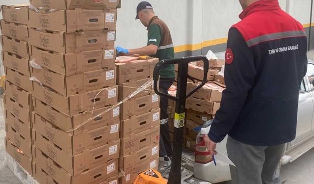 Konya'da son tüketim tarihi geçmiş 7 ton tavuk eti ele geçirildi