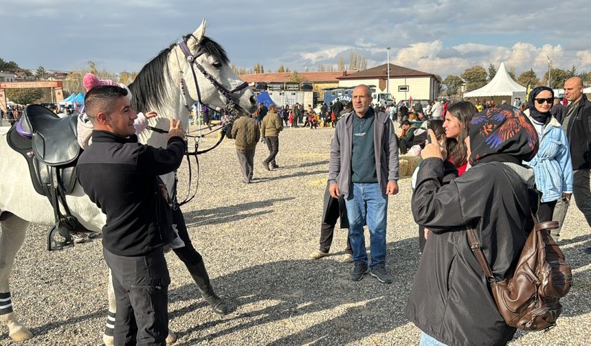 Ürgüp'te "at güzellik yarışması" yapıldı