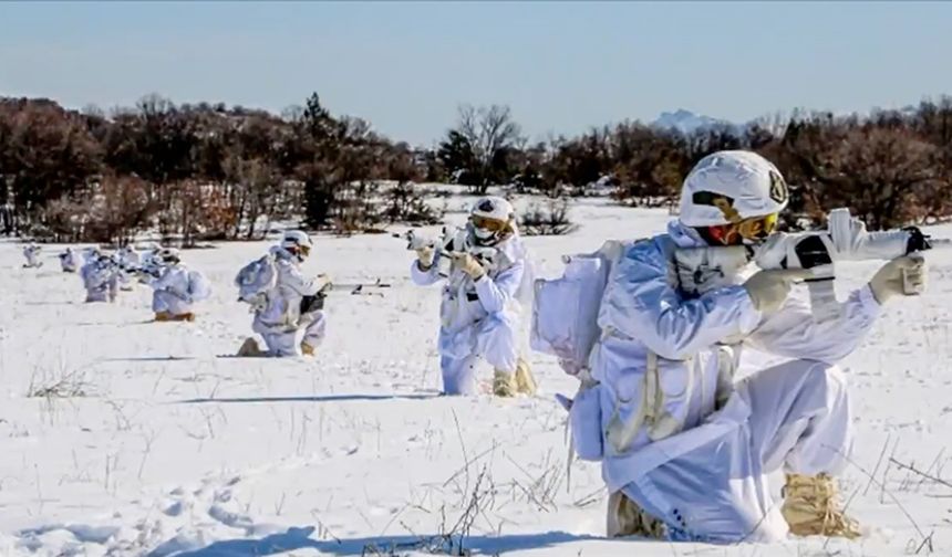 Terör örgütü PKK/KCK'ya yönelik "Gürz" operasyonlarında 709 mağara, sığınak ve depo imha edildi