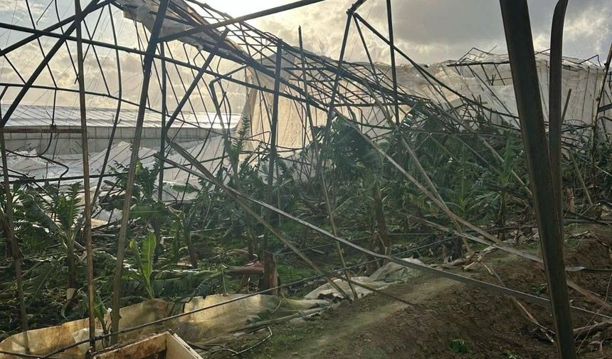 Mersin'de hortum bazı seralara zarar verdi