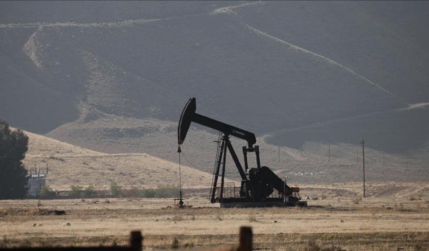 OPEC'in küresel ham petrol üretimindeki payı 2025'te yüzde 36,7 oldu