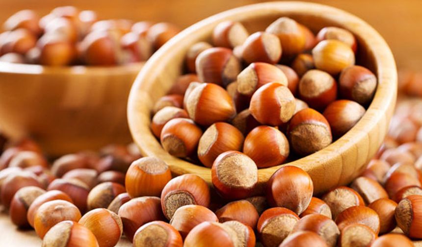 Türk fındığı BAE’de tanıtıldı