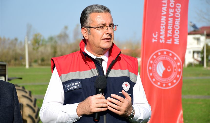 Samsun'da kahverengi kokarcaya karşı kışlak mücadelesi sürüyor