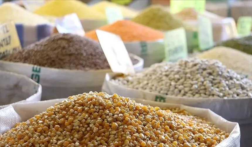 Türkiye'den 2 ayda 1,9 milyar dolarlık hububat ihracatı