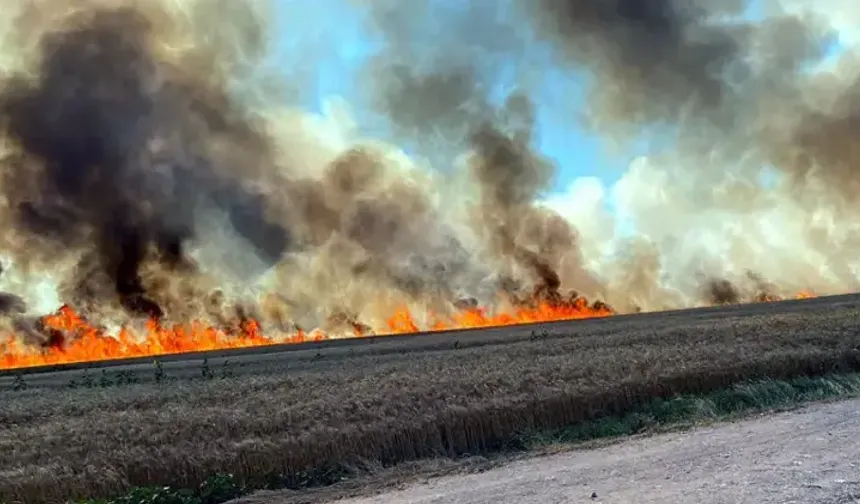Tekirdağ'da 400 dekar buğday ekili alan yandı