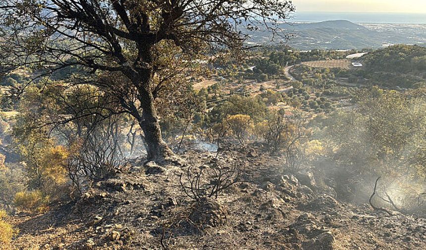 Kumluca'da ormanlık alanlara giriş 4 gün süreyle yasaklandı