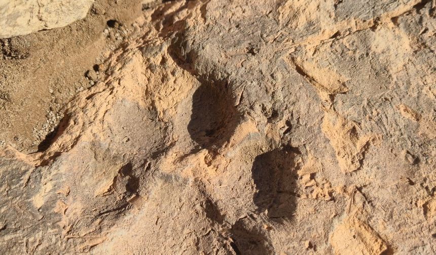 Tavşanlı Höyük kazılarında yaklaşık 4 bin yıllık pati izleri bulundu